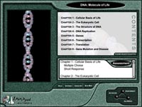 Mindfields Image